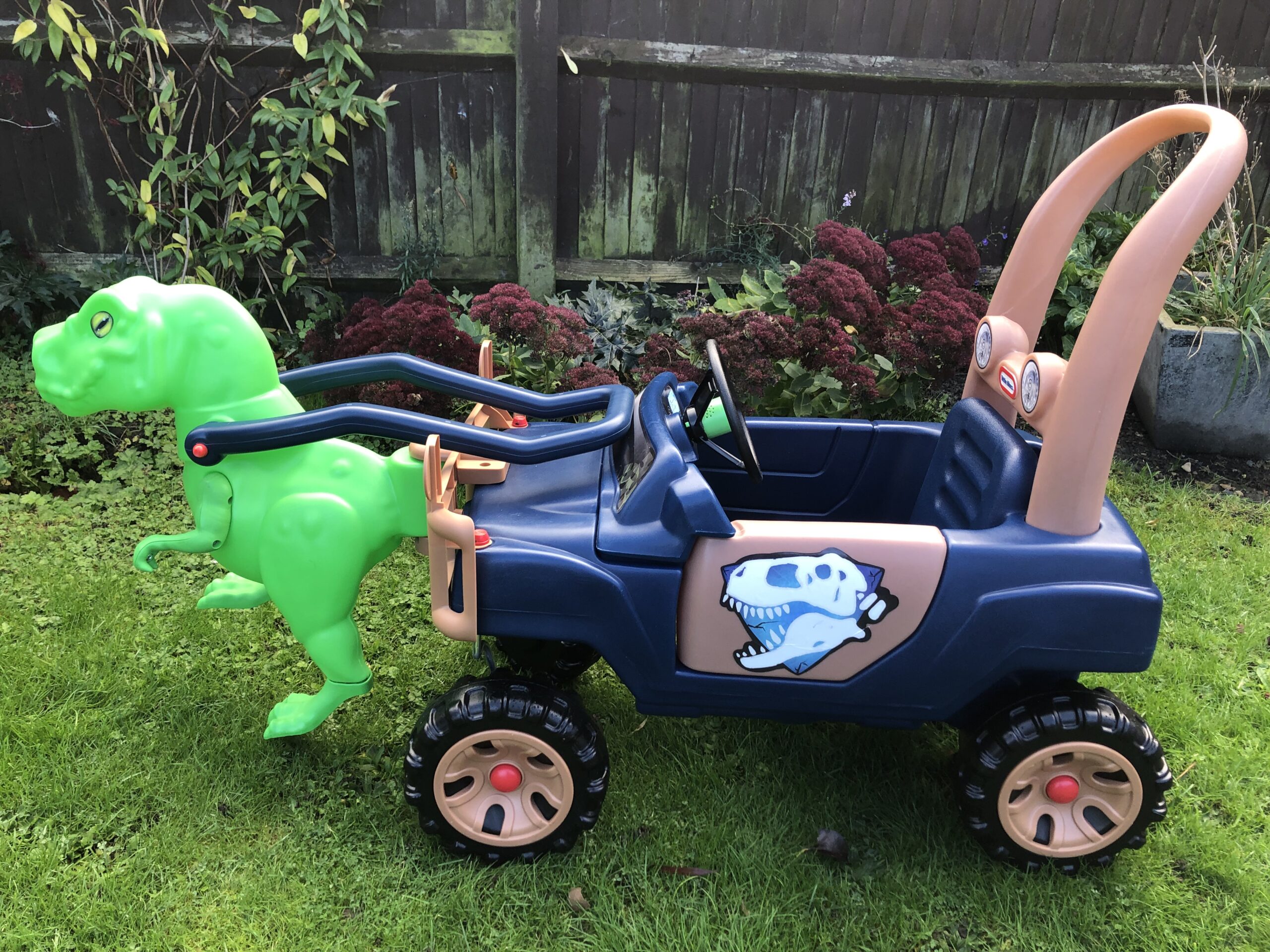 Little Dinosaur 1
